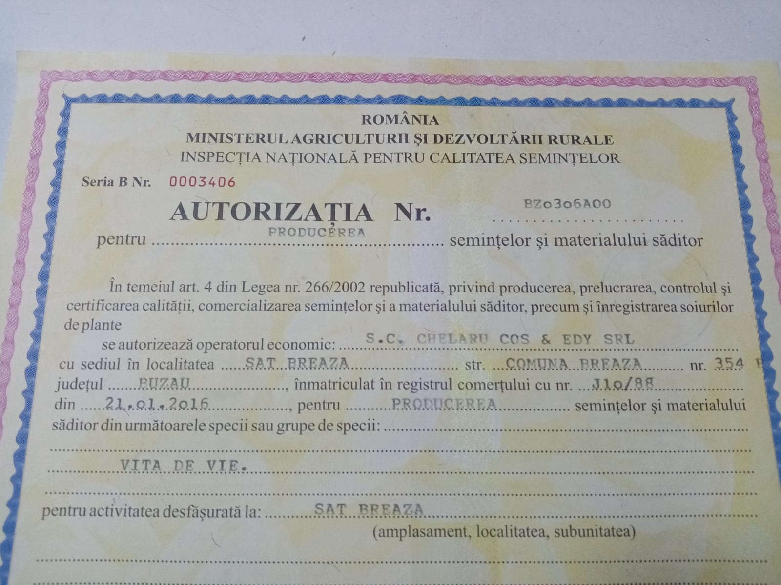 Comercializarea materialului săditor