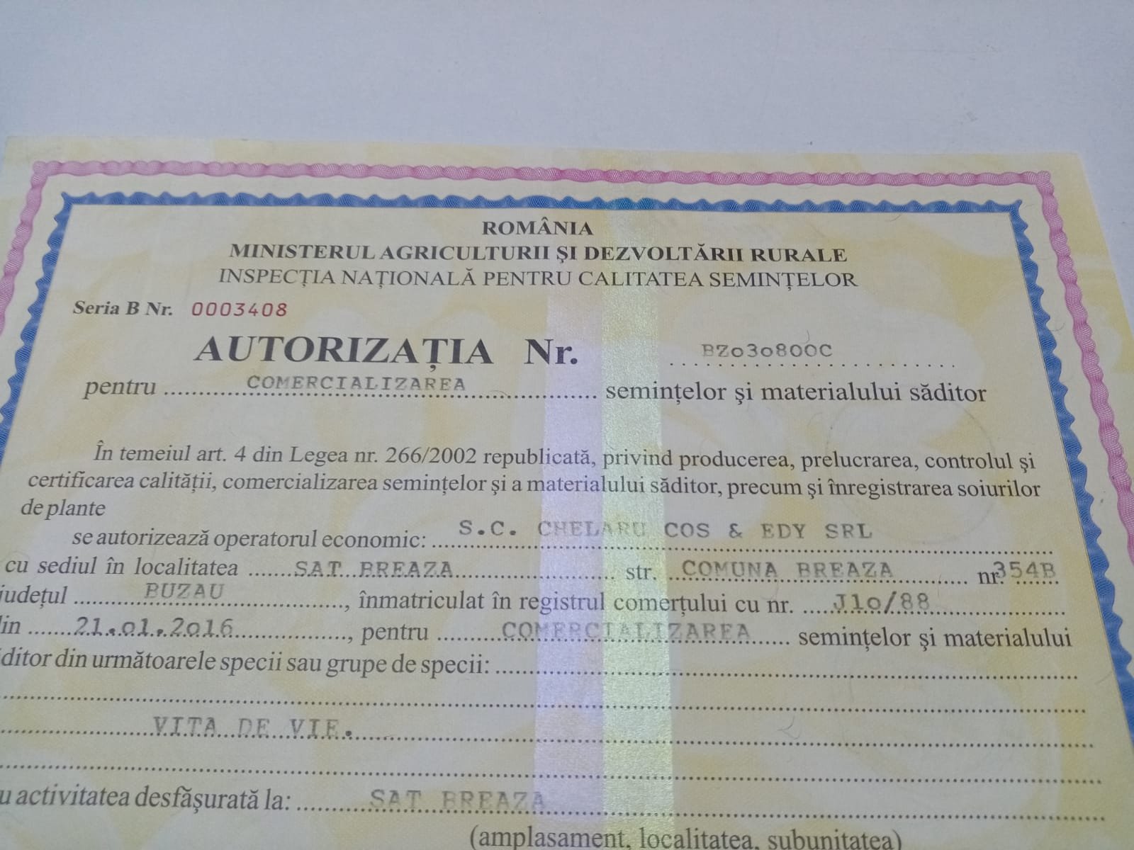 Producerea materialului săditor